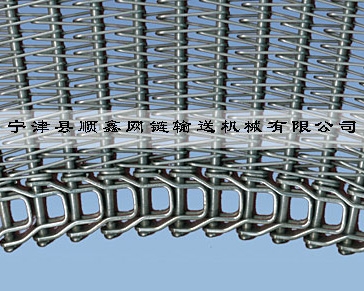 郑州冷冻传送式螺旋网带