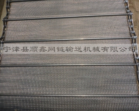 郑州人字型链条网带